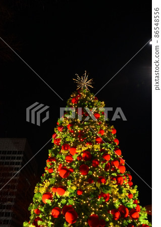 Green fir tree Christmas tree illuminations Green fir tree Christmas tree illuminations 86548556