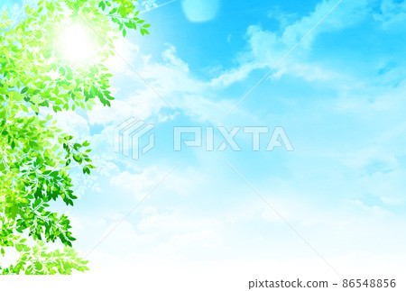 新的綠色留下風景背景 86548856