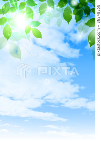 New green leaves landscape background 86548859