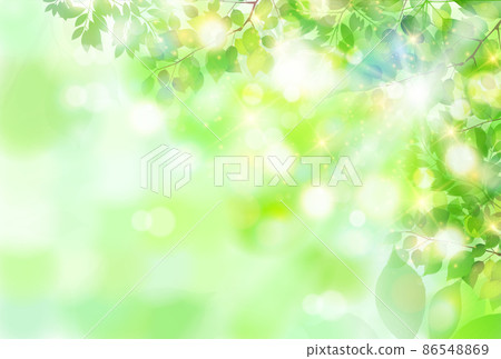 New green leaves landscape background 86548869