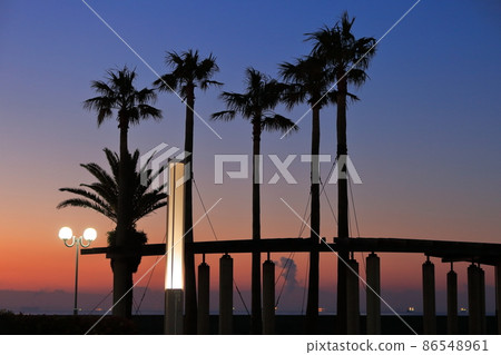 從浦安看日出 從浦安看日出 86548961