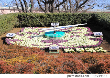 Katsushika City Kosuge West Park Flower Clock 86549385