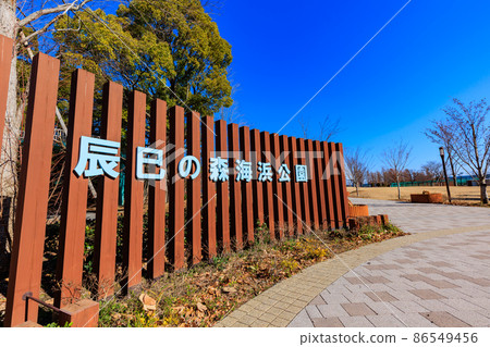 Tatsuminomori Seaside Park, Koto-ku, Tokyo 86549456