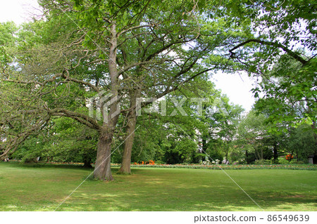 寬敞的 Groot-Bijgaarden 城堡花園 寬敞的 Groot-Bijgaarden 城堡花園 86549639