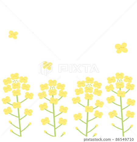 油菜花背景圖1：1 86549710