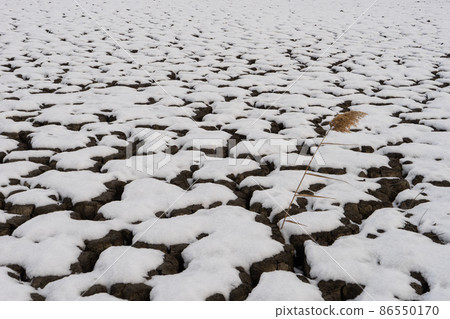 A cracked land A cracked land 86550170
