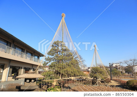 堀切鳶尾花園、帶石燈籠和雪釣的冬季景觀 堀切鳶尾花園、帶石燈籠和雪釣的冬季景觀 86550304