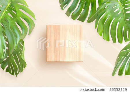 頒獎典禮或產品展示的講台。階段。講台 86552529