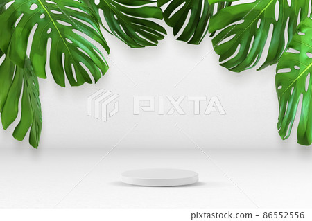 Podium for awards ceremony or product presentation. phase. Podium 86552556