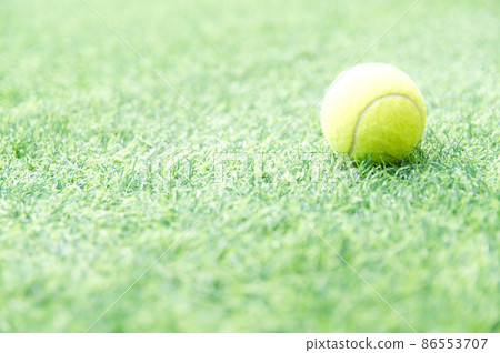 Grass court and tennis ball Grass court and tennis ball 86553707