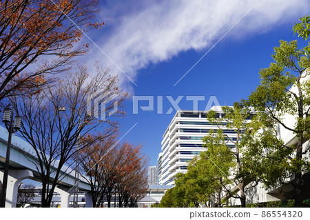 東京丰洲的風景 86554320
