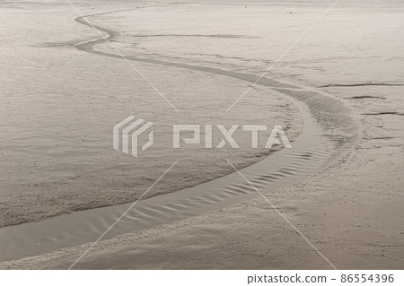 foreshore foreshore 86554396