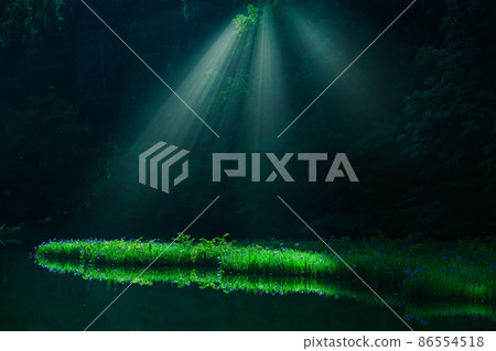 滋賀縣高島市今津市Hikibu蝦群落在清晨 86554518