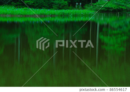 Shiga prefecture Takashima-shi Imazu town Hikibu shrimp colony shoots early in the morning Shiga prefecture Takashima-shi Imazu town Hikibu shrimp colony shoots early in the morning 86554617