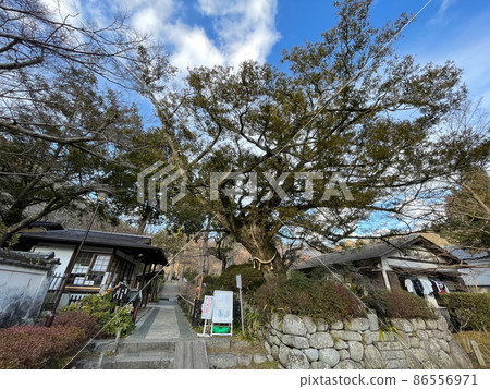 高野山真言宗大佐山廣寺 高野山真言宗大佐山廣寺 86556971
