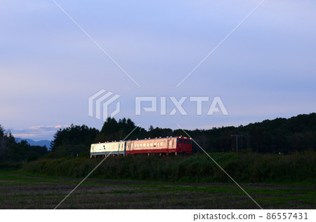 秋季日落後向目室町帶廣方向行駛的根室本線定期列車。 秋季日落後向目室町帶廣方向行駛的根室本線定期列車。 86557431