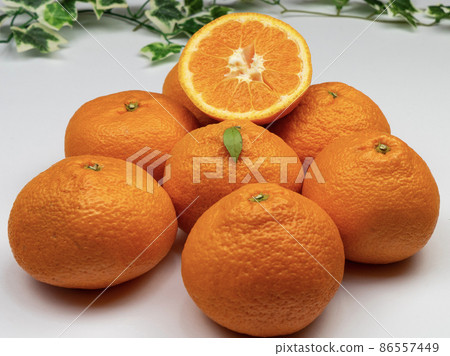 餐桌照片橘子 餐桌照片橘子 86557449