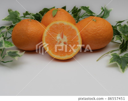 餐桌照片橘子 86557451