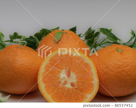 餐桌照片橘子 86557452