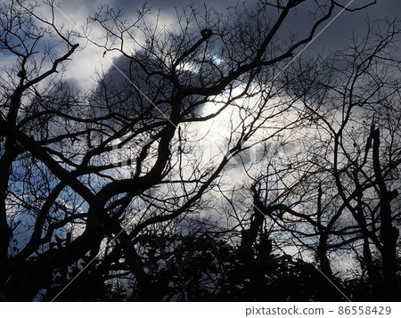 寒冷的冬天天空 86558429