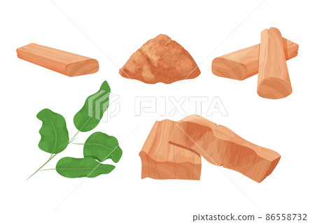 Set Chandan or sandalwood pieces, dried powder aromatherapy ingredient detailed in cartoon style isolated on white background. Cut part, close up, medical plant. 86558732