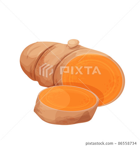 Turmeric, curcuma root, cut spice herb in cartoon style isolated on white background. Homeopathy ingredient, aromatic Asian cuisine, close up Turmeric, curcuma root, cut spice herb in cartoon style isolated on white background. Homeopathy ingredient, aromatic Asian cuisine, close up 86558734