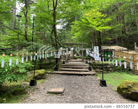 通往日光山脈Harukasho的道路 通往日光山脈Harukasho的道路 86558737