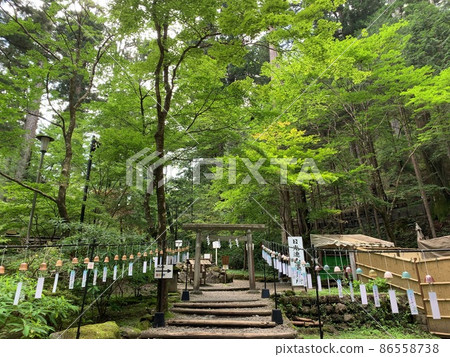 通往日光山脈Harukasho的道路 通往日光山脈Harukasho的道路 86558738