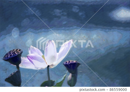 大阪 Sakuya Konohanakan 的數字處理蓮花插圖 大阪 Sakuya Konohanakan 的數字處理蓮花插圖 86559000