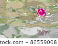 Illustration of digitally processed lotus in Sakuya Konohanakan, Osaka 86559008