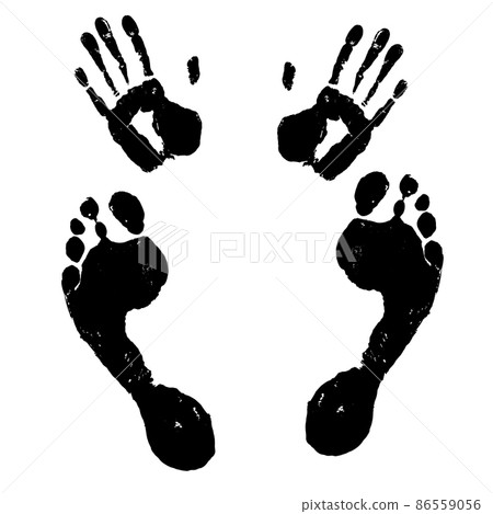 Vector set of texture and grunge hand and foot prints. Collection of black templates on white background for cybersecurity illustrations. Vector Vector set of texture and grunge hand and foot prints. Collection of black templates on white background for cybersecurity illustrations. Vector 86559056