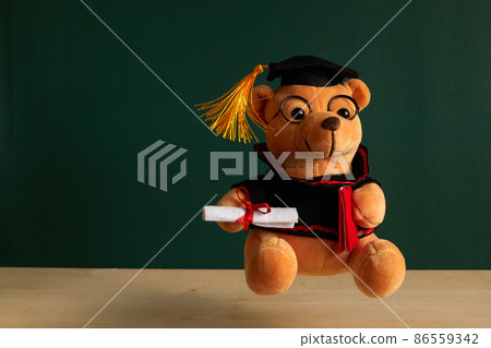 Teddy bear with graduation hat and diploma in front of green chalkboard. Graduation concept 86559342