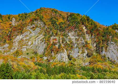 Beautiful autumnal scenery of Nunoiwa in Akiyama-go 86559640
