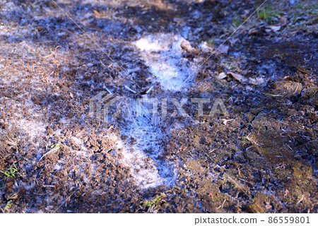 隆冬的針冰 86559801