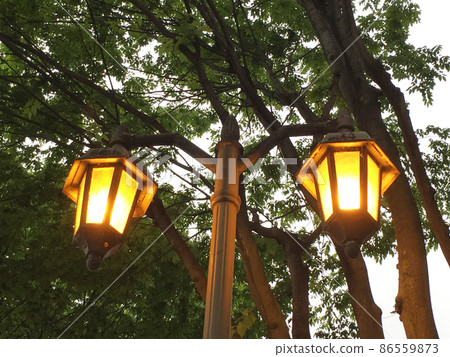 黃昏時街角的戶外燈 黃昏時街角的戶外燈 86559873