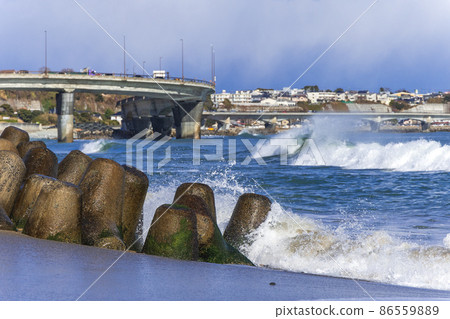 Hatsuzaki Coast, Hitachi City, Ibaraki Prefecture 86559889