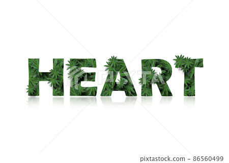 The English word is heart, stylized as a collage of photos of lupin leaves. A word with a mirror image highlighted on a white background. Concept: health day, graphic design.. The English word is heart, stylized as a collage of photos of lupin leaves. A word with a mirror image highlighted on a white background. Concept: health day, graphic design.. 86560499