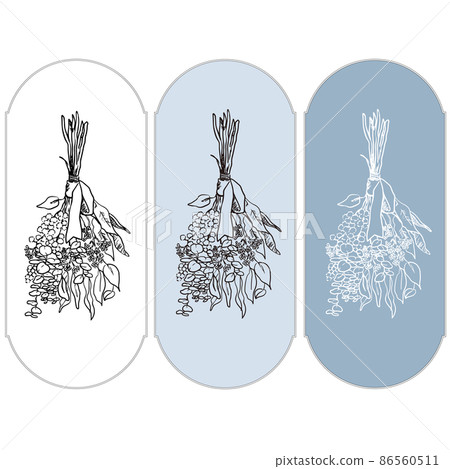 時尚的乾燥花圖示插圖、自然設計和標籤設計 時尚的乾燥花圖示插圖、自然設計和標籤設計 86560511