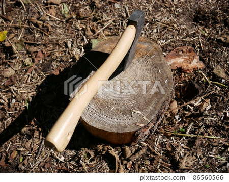Chopping firewood 86560566