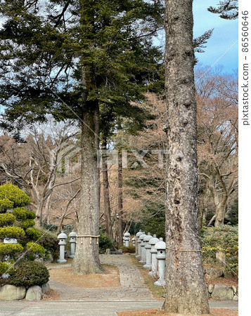 Koyasan Shingon sect Osawayama Kyuanji 86560646
