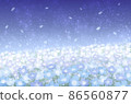 夜空中的 Nemophila 領域 86560877