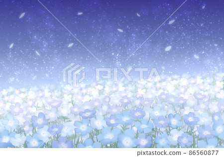 Nemophila field in the night sky 86560877