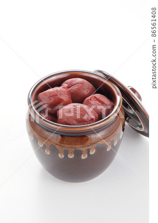 Salted plum Salted plum 86561408