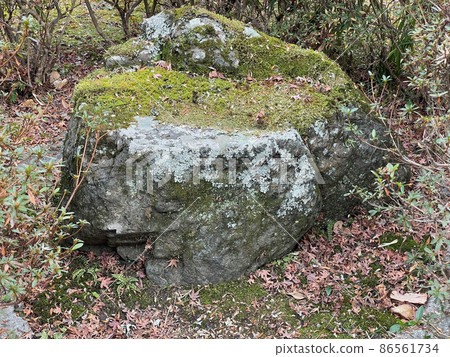 Koyasan Shingon sect Osawayama Kyuanji Koyasan Shingon sect Osawayama Kyuanji 86561734