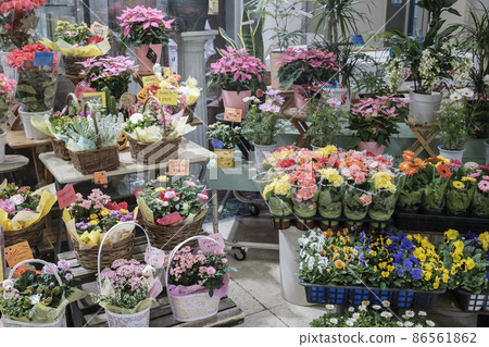 花店店面圖片 花店店面圖片 86561862