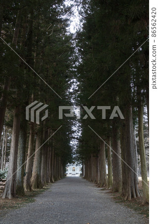 Former Aoki Family Nasu Bettei and Cedar Avenue of Nikko (Winter) Former Aoki Family Nasu Bettei and Cedar Avenue of Nikko (Winter) 86562420
