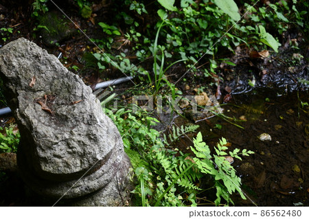 A moist pond next to a large rock 86562480