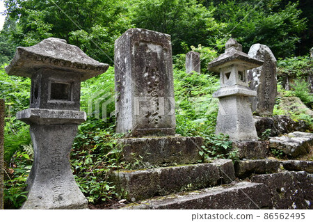 Scenery seen from the approach to Kameoka Bunshu, where the lush greenery and stone sculptures that feel the weight of history are lined up 86562495