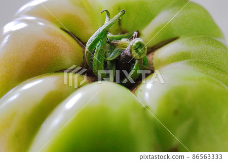 Green tomato pesticide-free Green tomato pesticide-free 86563333