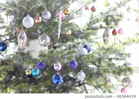 Christmas tree  86564419